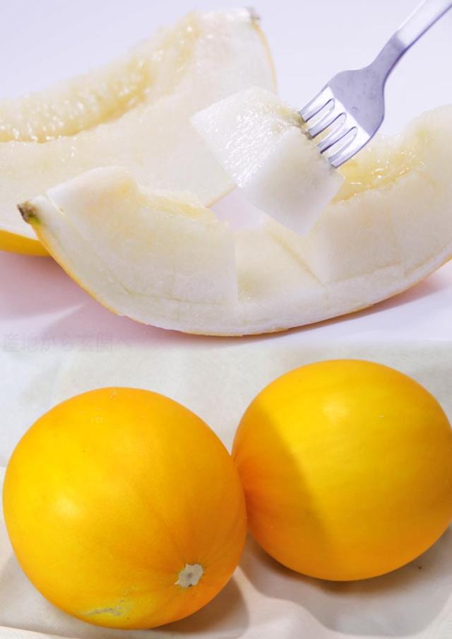 イエローキング