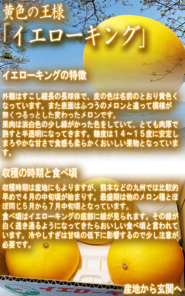イエローキング