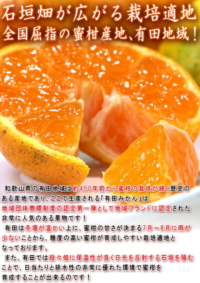 有田みかん 滝川園