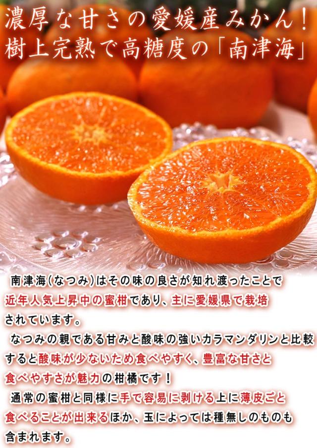 フルーツ 南津海