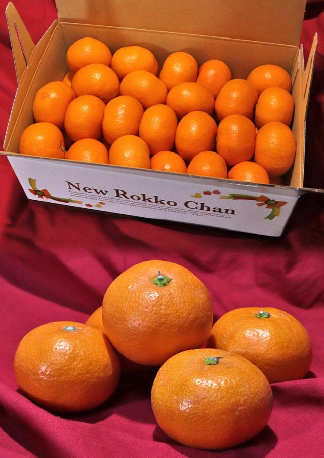蜜柑 ギフト