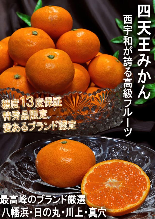 西宇和みかん 愛媛