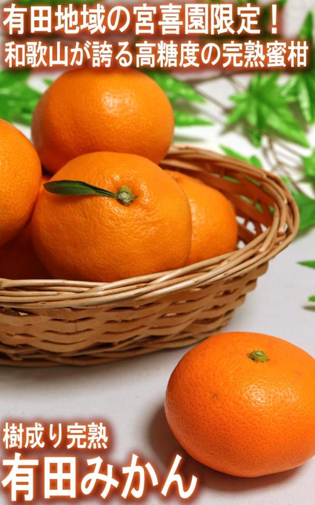 宮喜園 有田みかん