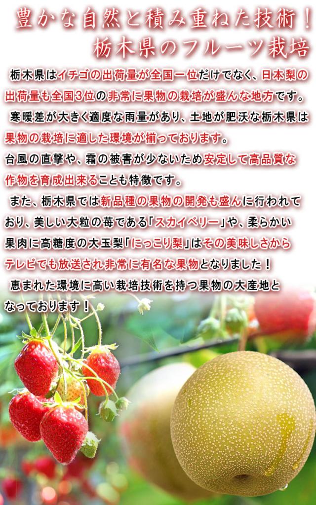 フルーツ にっこり梨