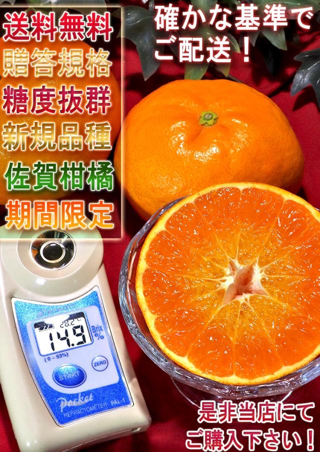 にじゅうまる オレンジ