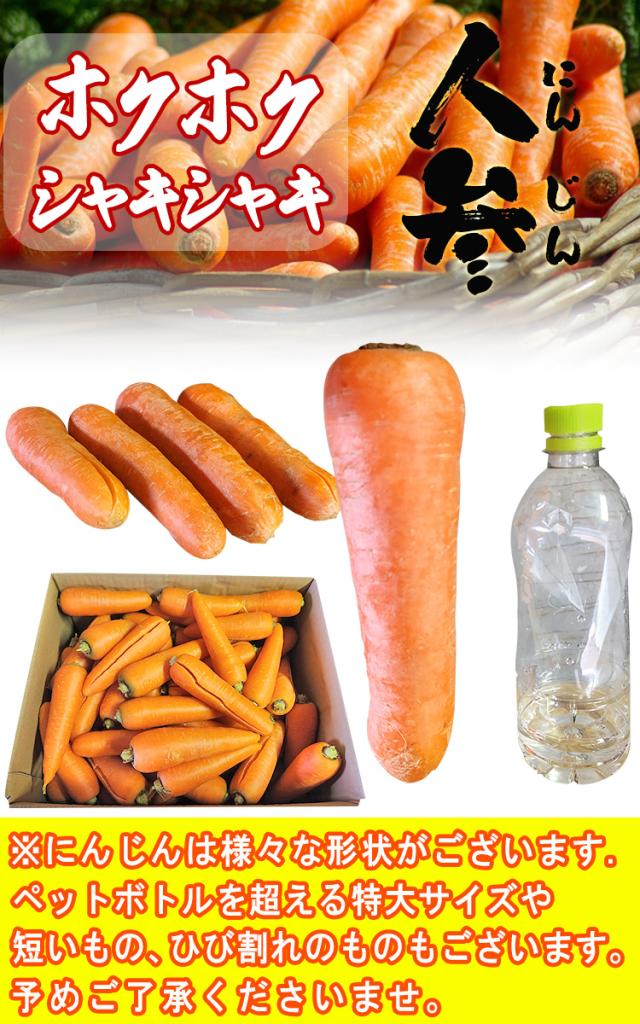 にんじん 家庭用