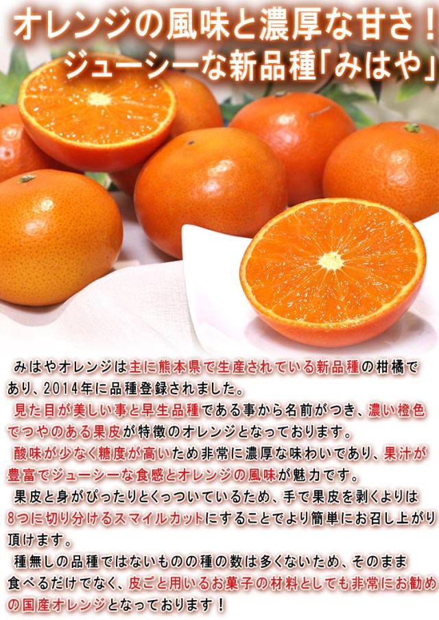みはやオレンジ 新品種