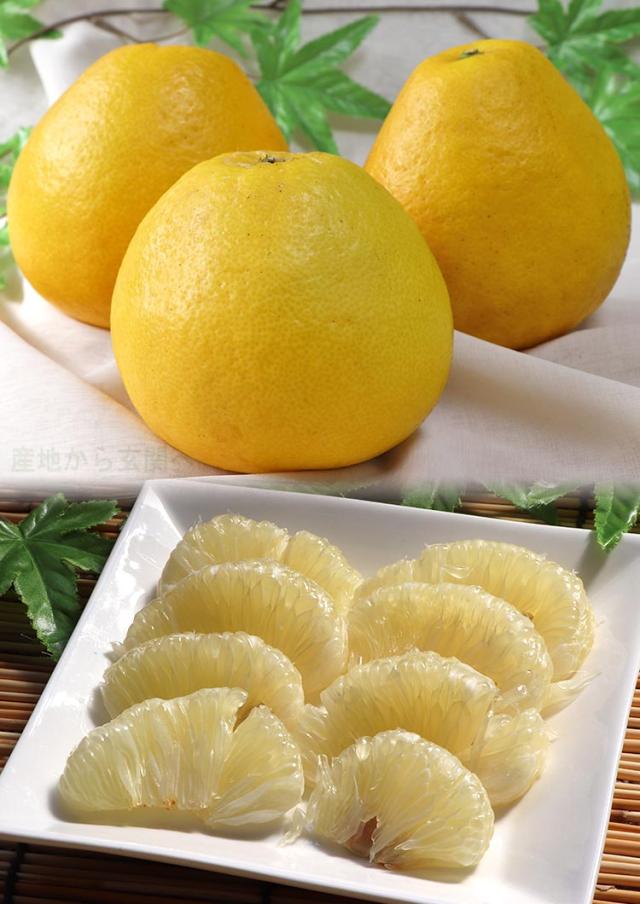 パール柑 みかん