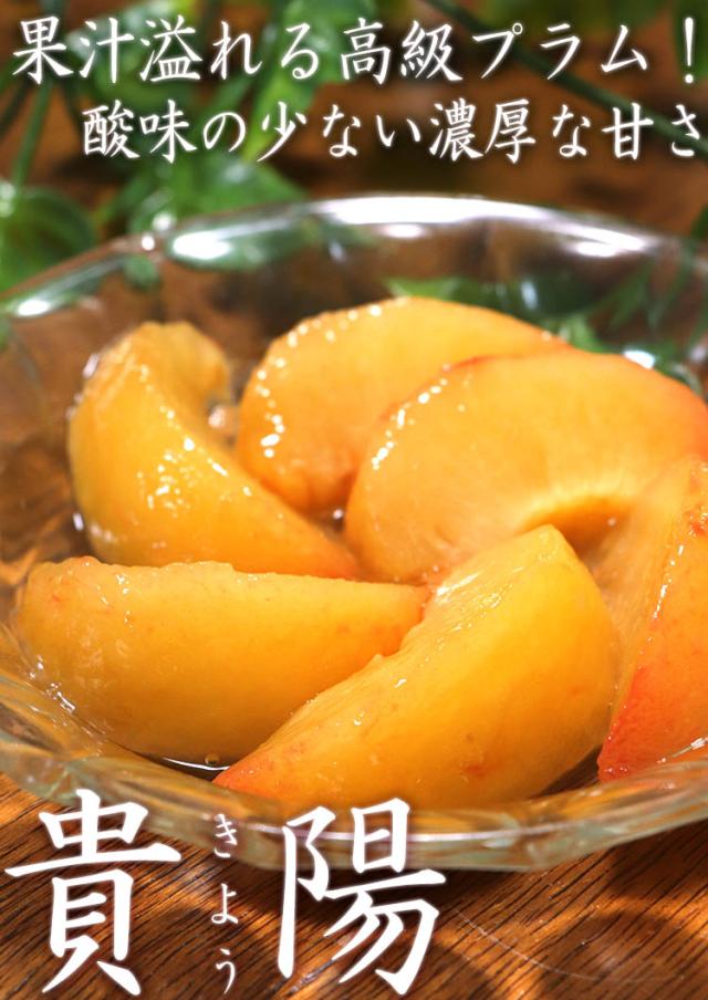 貴陽 プラム