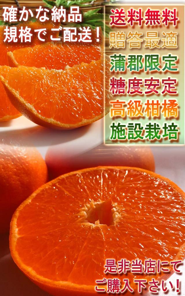 タンゴール 麗紅