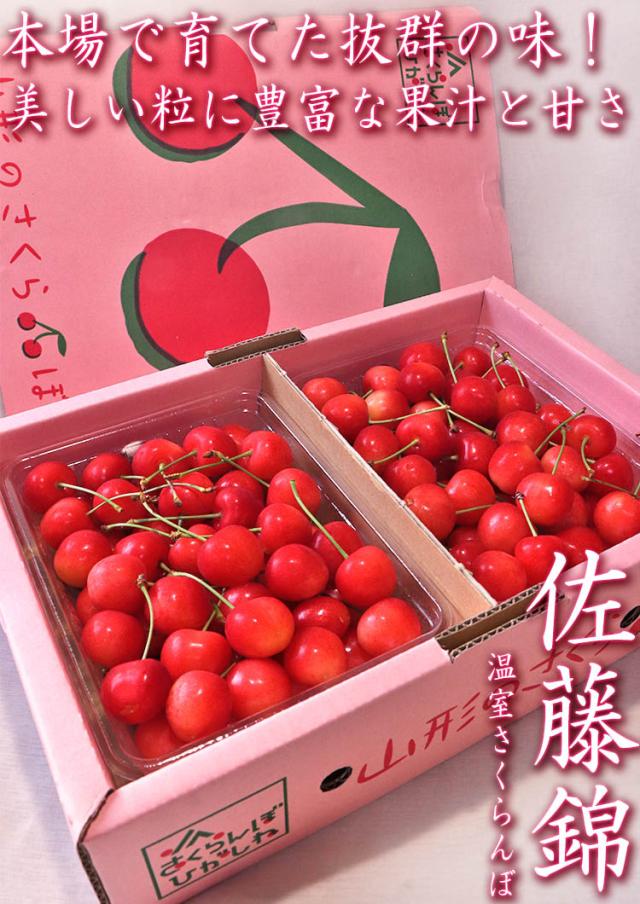 さくらんぼ 佐藤錦