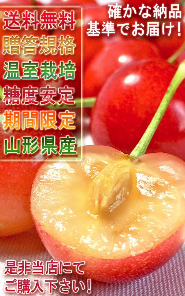 佐藤錦 加温栽培