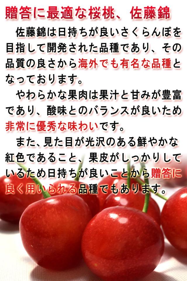 サクランボ 佐藤錦