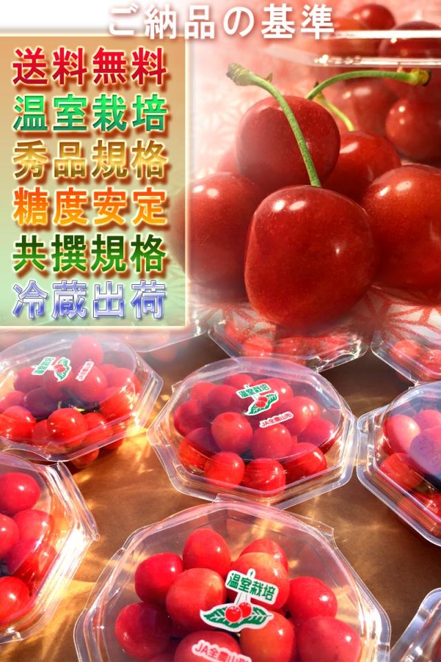温室栽培 サクランボ