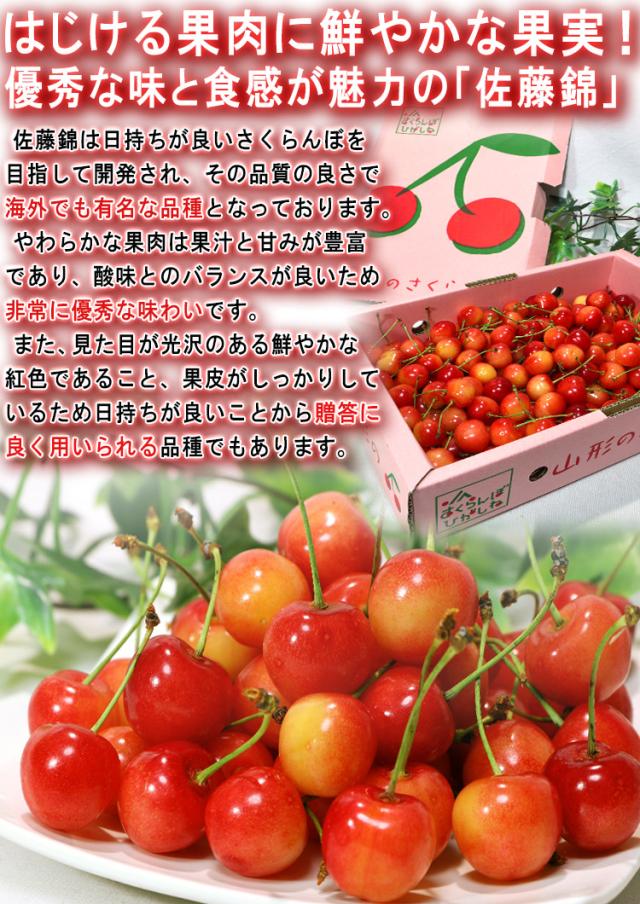 佐藤錦 ギフト