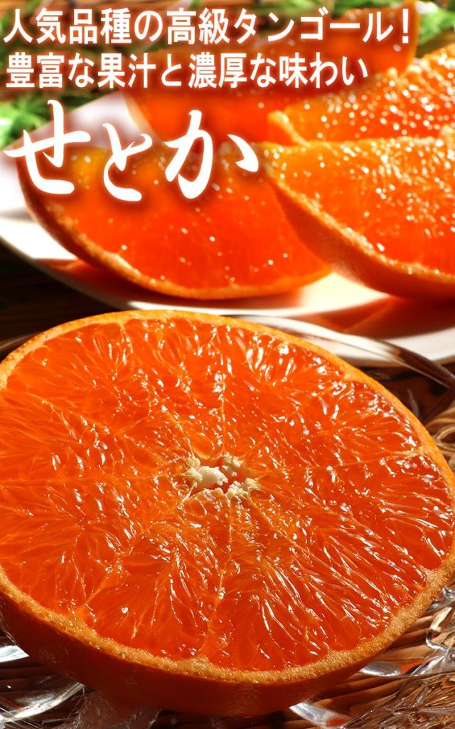 せとか フルーツ
