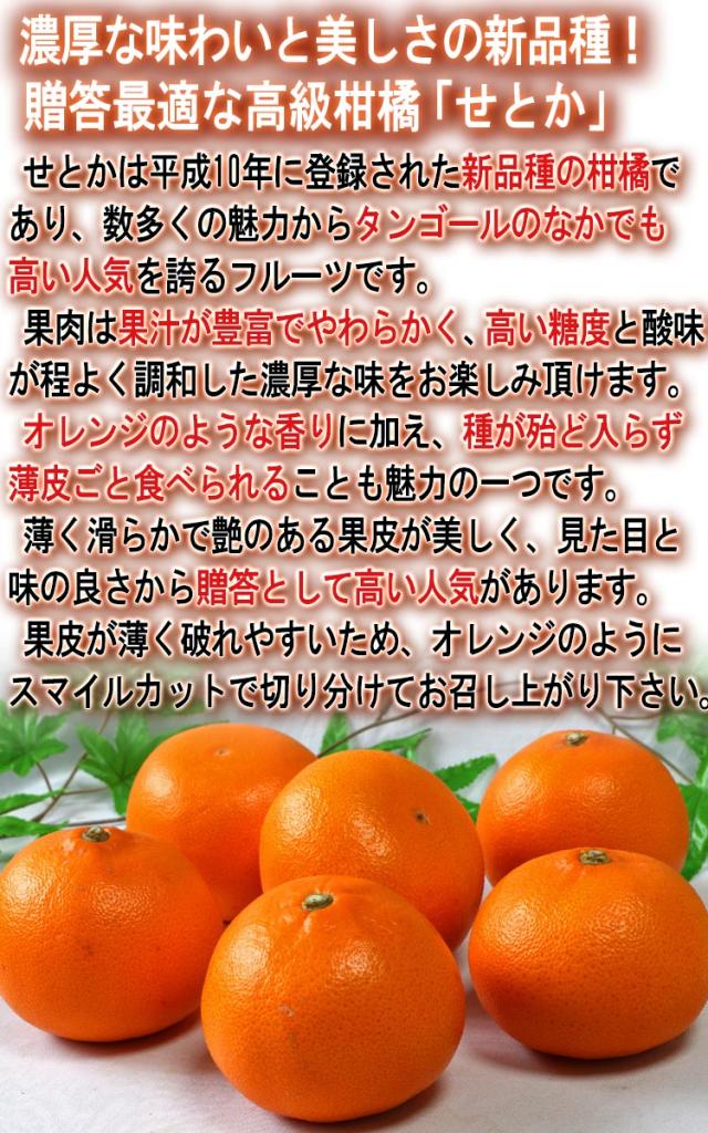 せとか タンゴール