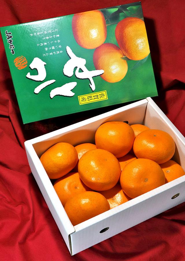 せとか JAからつ