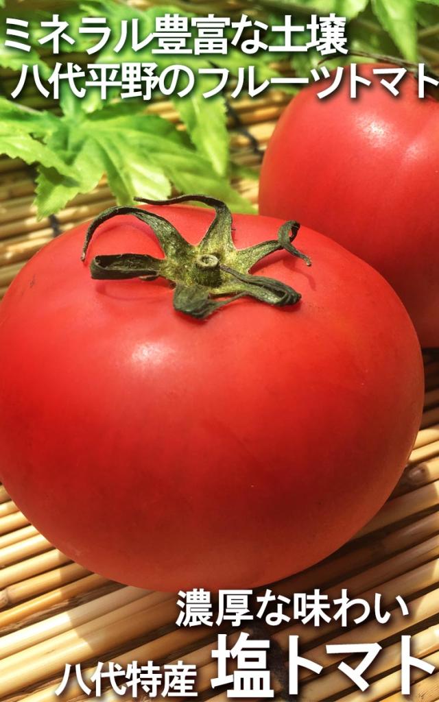 塩トマト 野菜