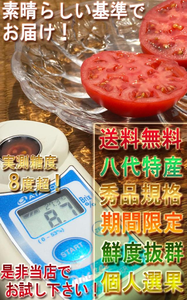 塩トマト フルーツトマト
