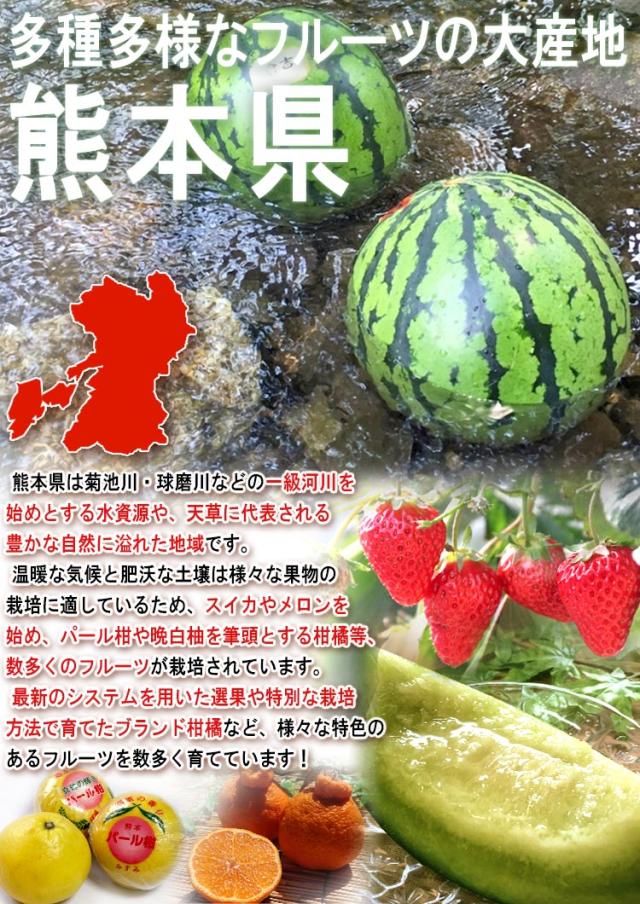 熊本 西瓜