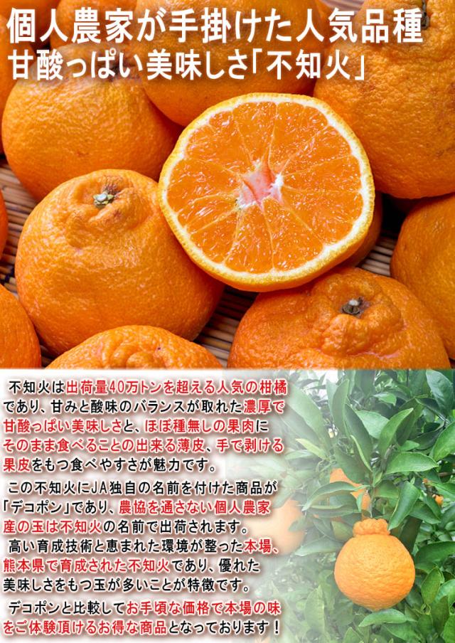 みかん 不知火