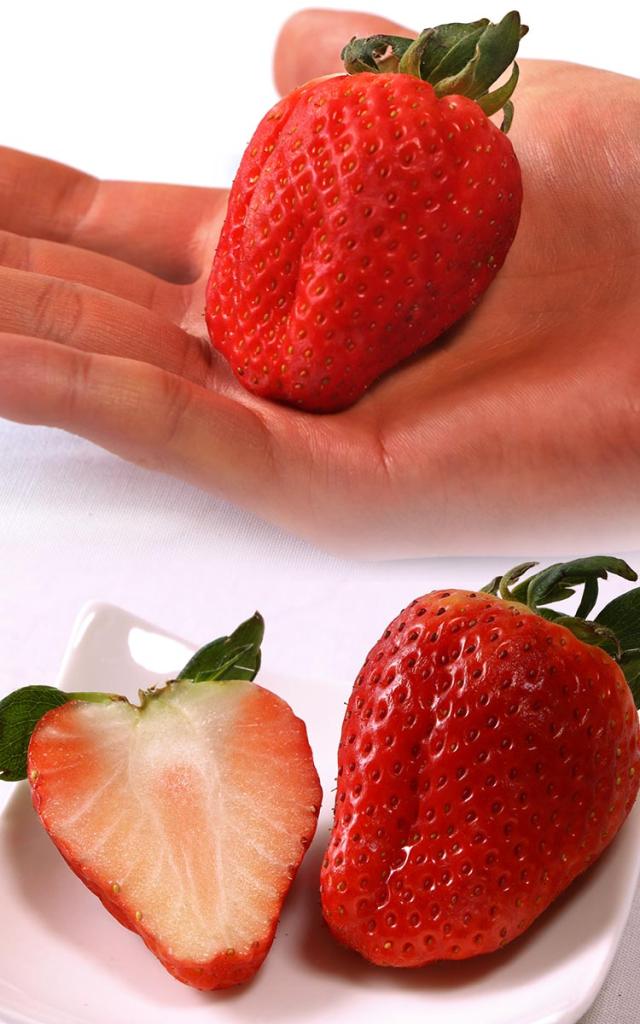 ギフト スカイベリー