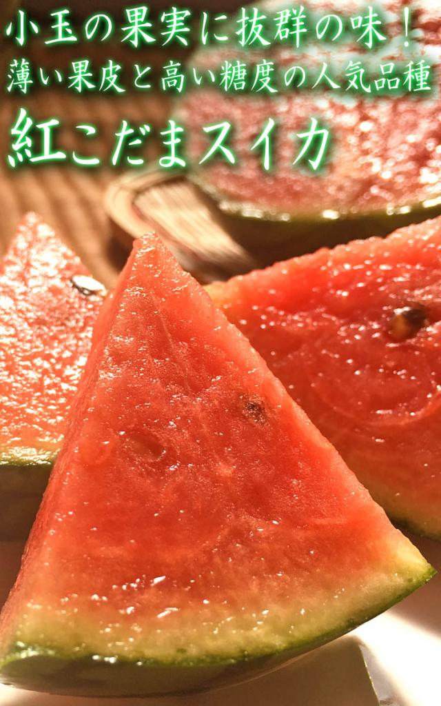 スイカ こだま