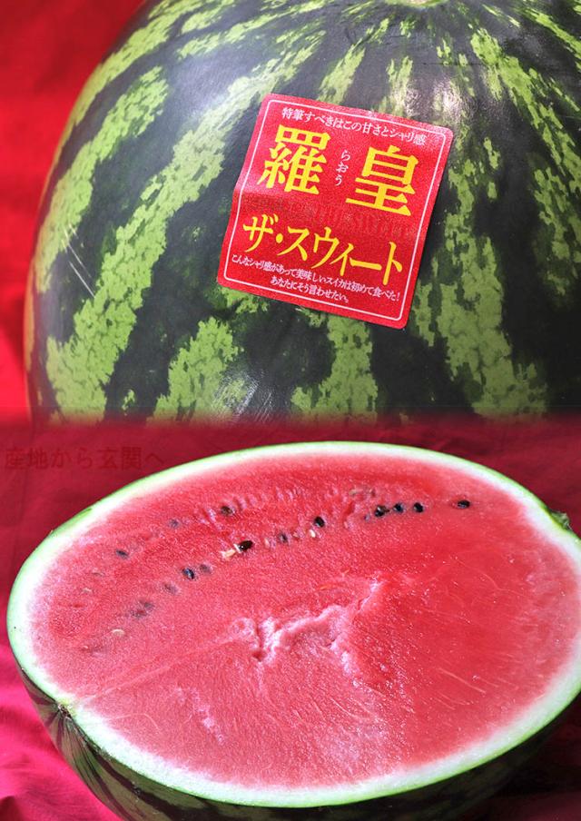ギフト スイカ