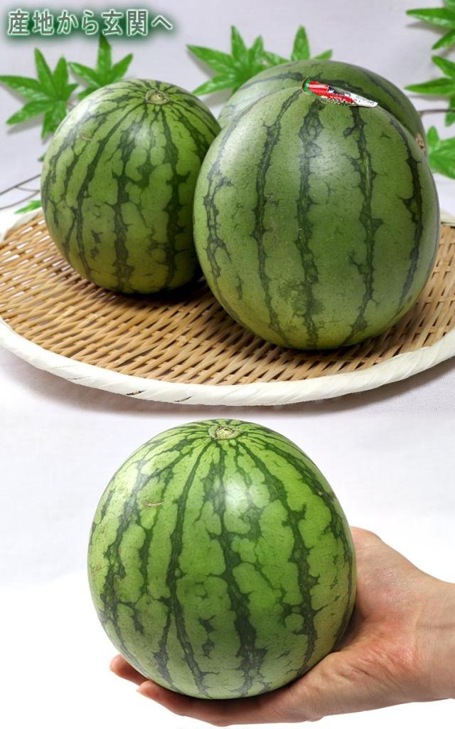 すいか 小玉