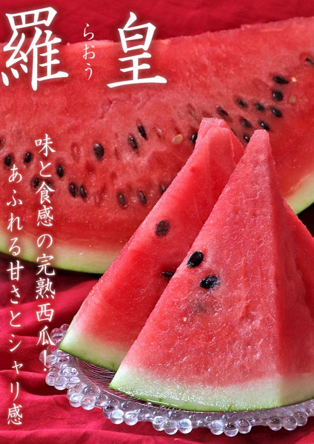 羅皇 スイカ