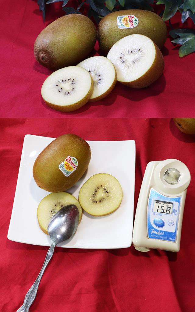 ゼスプリ キウイフルーツ