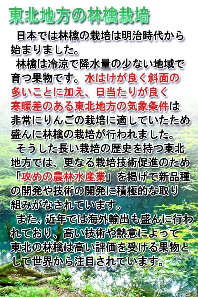 りんご 通販