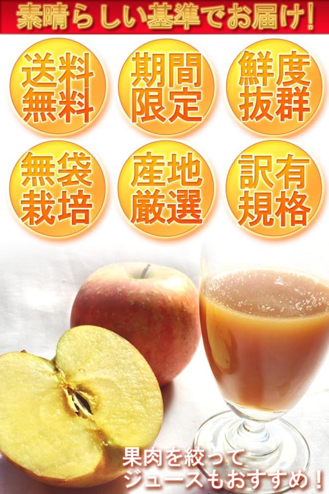 サンフジ 林檎