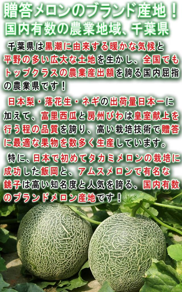 貴味メロン ギフト