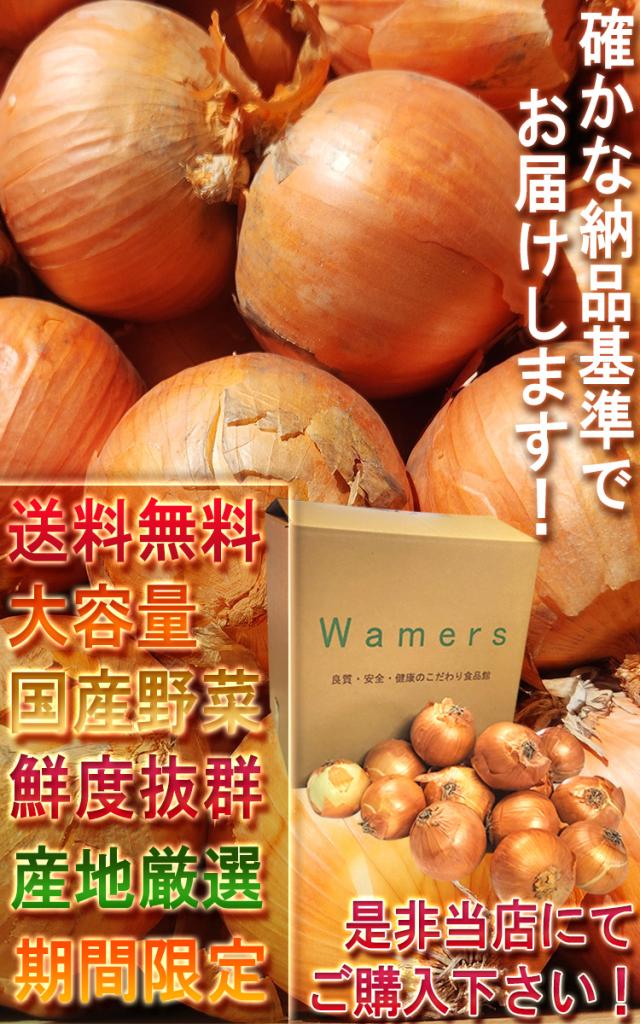 送料無料 通販
