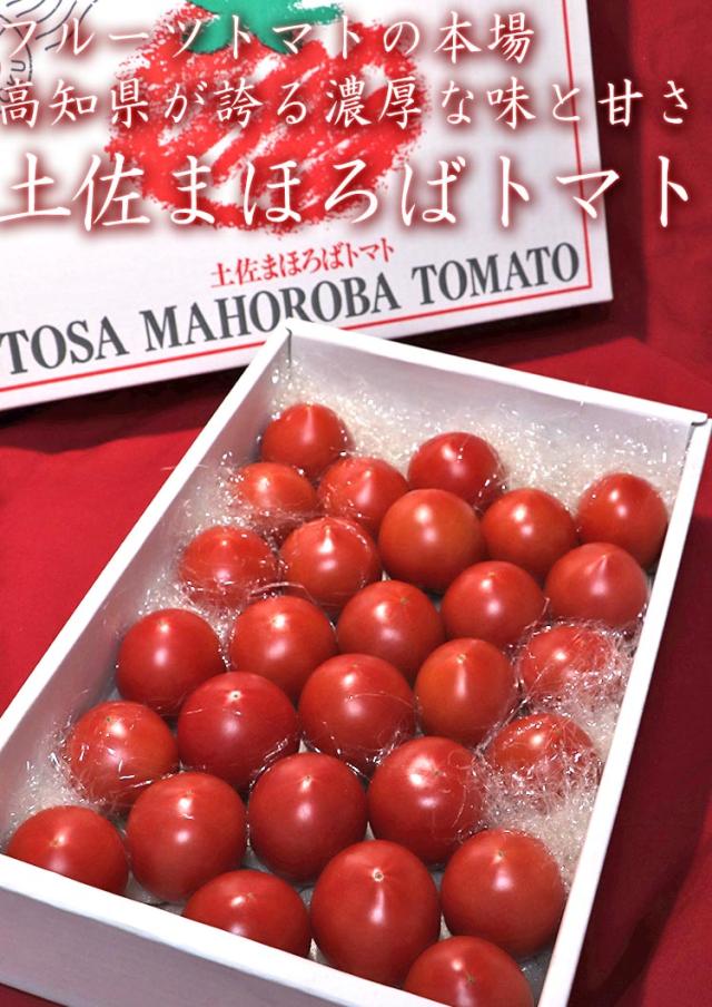 土佐まほろばトマト ギフト