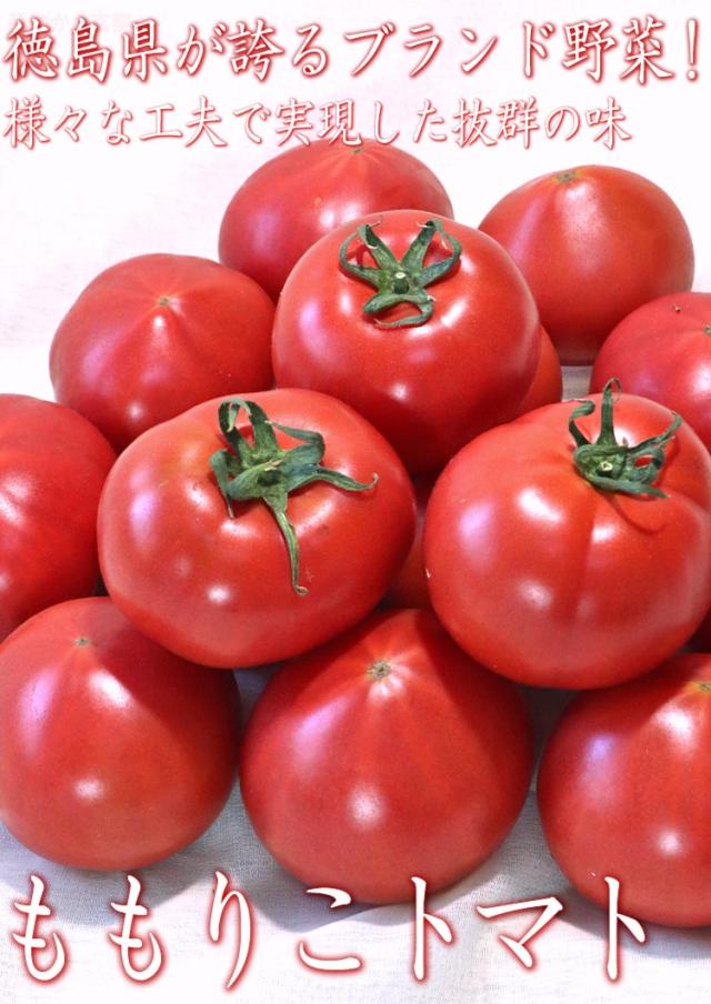 ももりこトマト 徳島