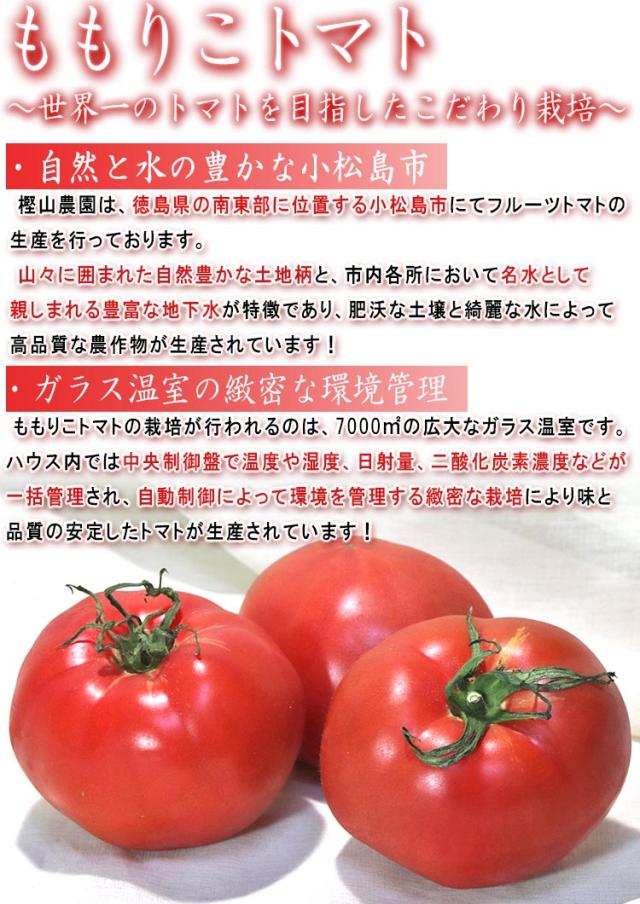 樫山農園 フルーツトマト