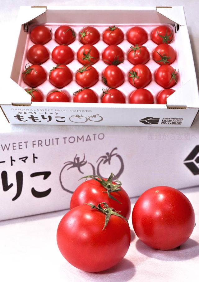 送料無料 通販