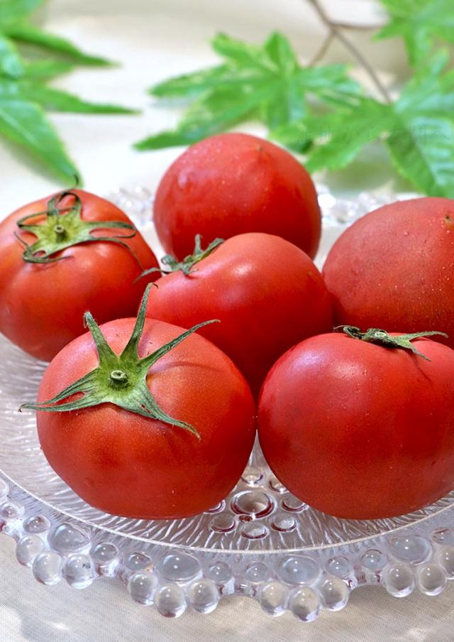 熊本 特産野菜