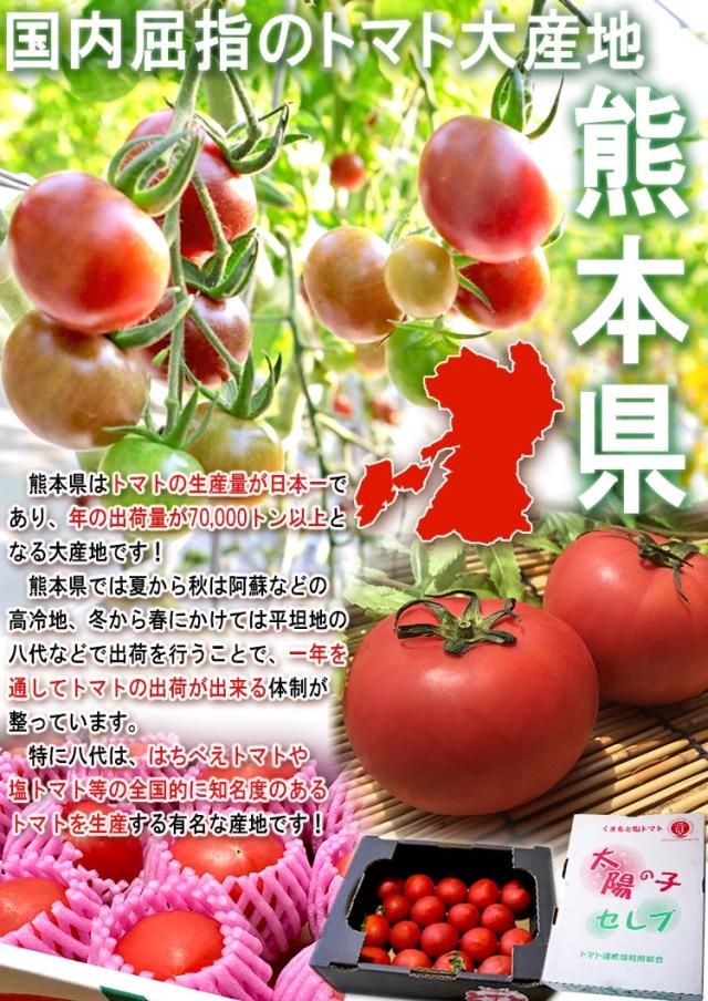 熊本 やさい