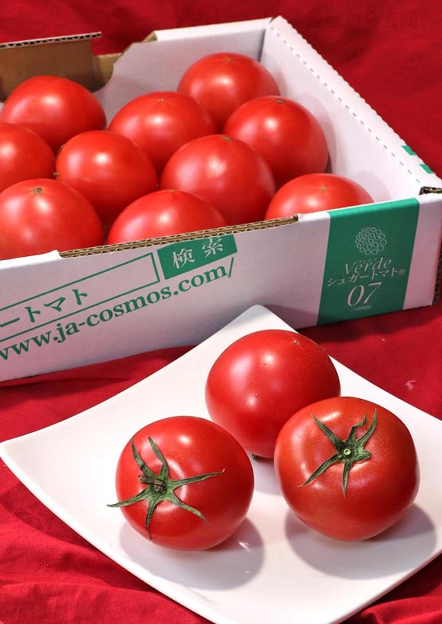 フルーツトマト 野菜