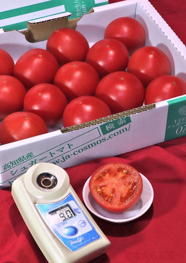 フルーツトマト 野菜