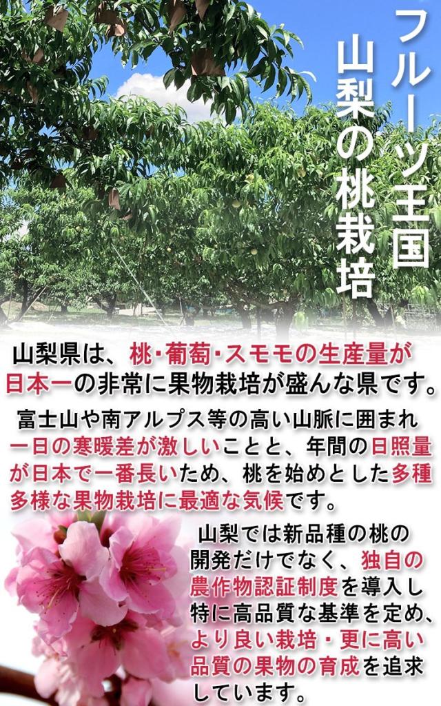 山梨 フルーツ