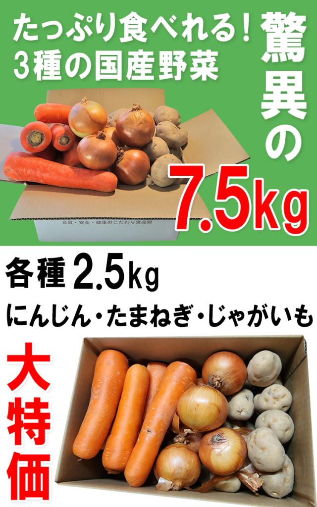 送料無料 通販