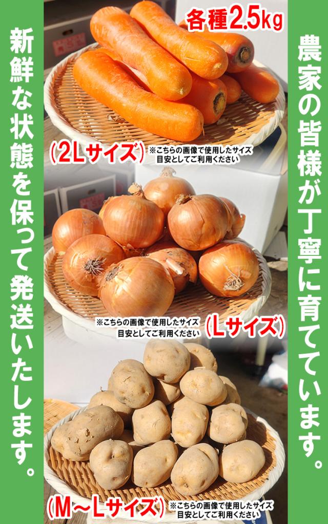 送料無料 通販