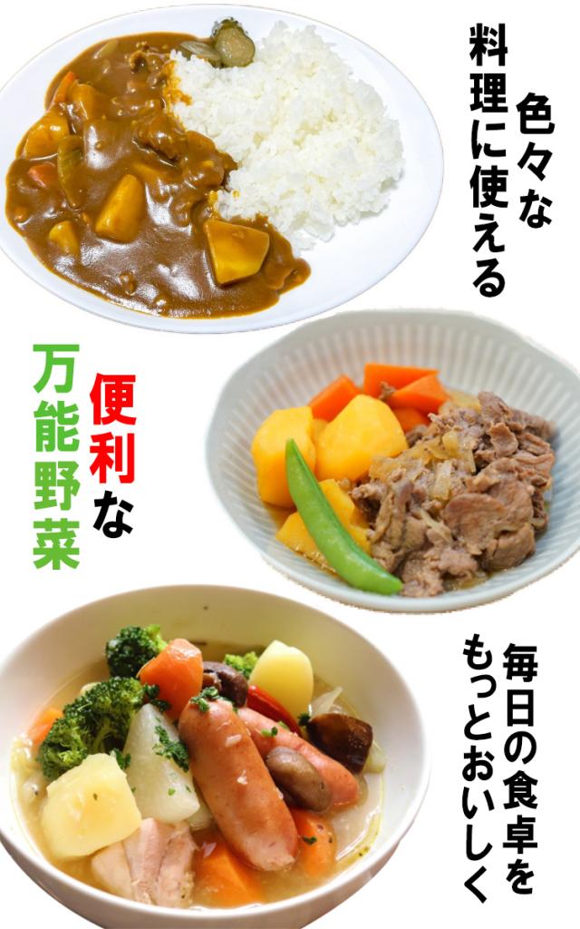 送料無料 通販