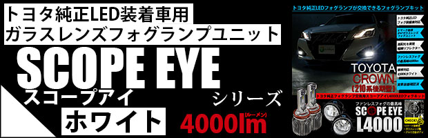 SCOPE EYE L4000