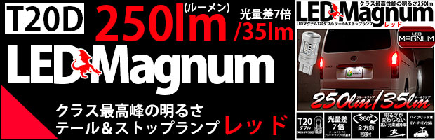 T20d LEDMAGNUM 250lm 1セット2個
